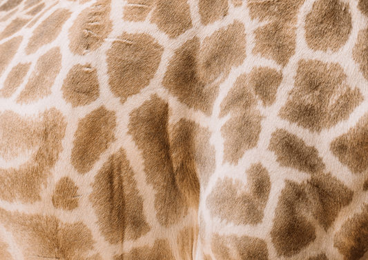 Pourquoi ai-je des rides précoces ? - Glowlist